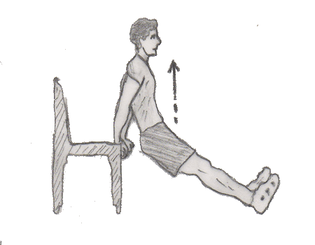 Triceps dip on chair strengthens your triceps muscles along with Chest, Shoulders muscles. You need a chair to perform this exercise.